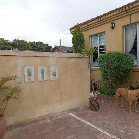 Toscana Cottage 伊丽莎白港 外观 照片